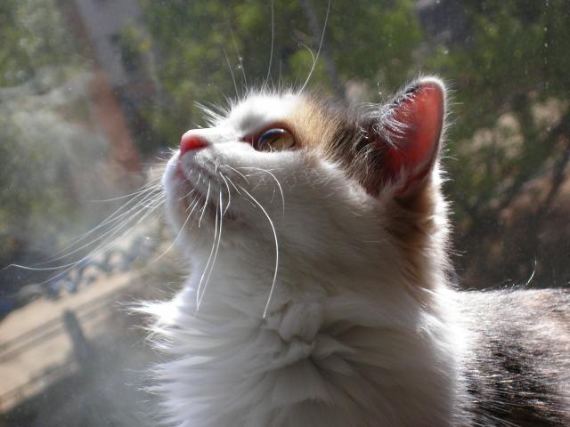 000-0233-640x480.jpg