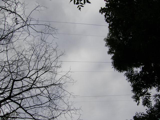 000-0246-640x480.jpg
