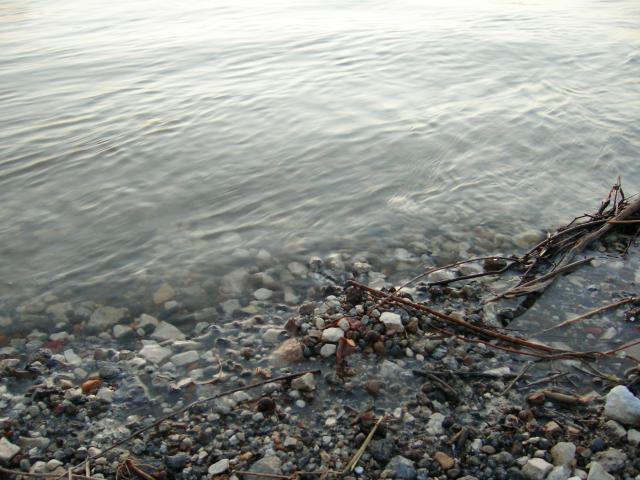 000-0516-640x480.jpg