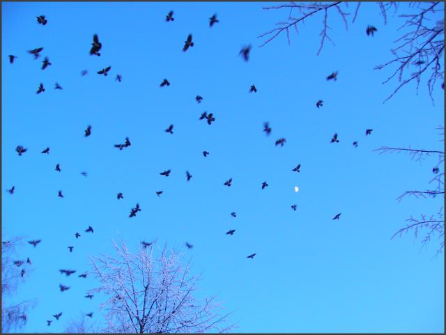 100-5585-GIMPed-640x481.jpg